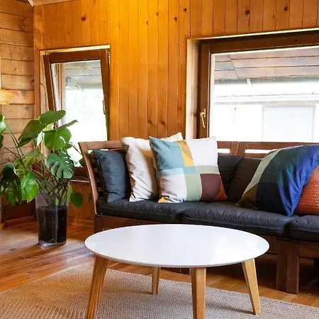 River House Vasa Vilă *