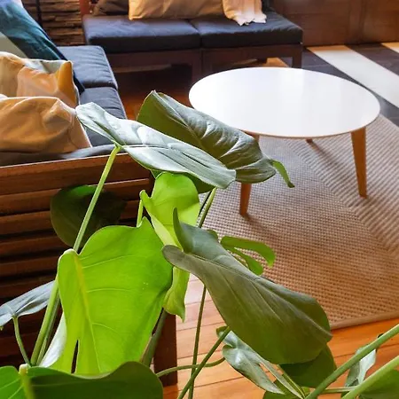 River House Vasa * Belgrad