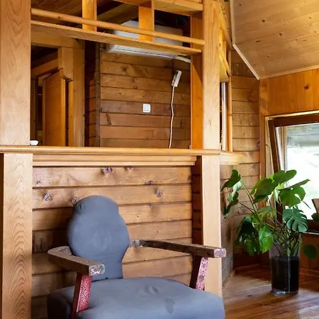 Vilă River House Vasa *