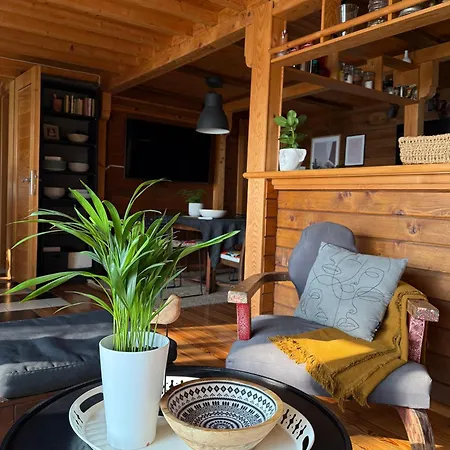 River House Vasa * Belgrad