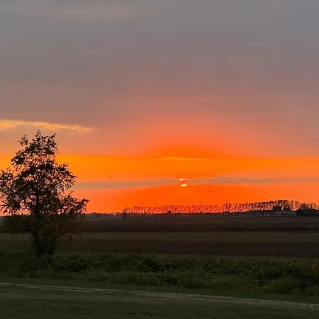 River House Vasa * Belgrad