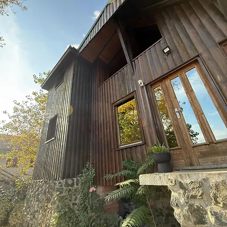 Vilă River House Vasa *