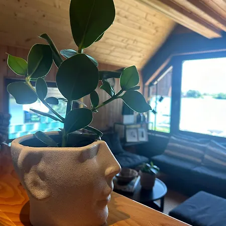 River House Vasa * Belgrad