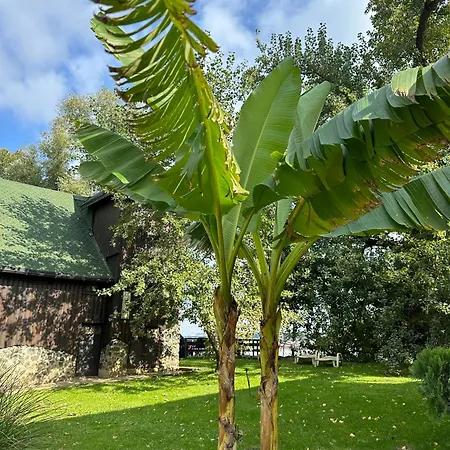 River House Vasa * Belgrad