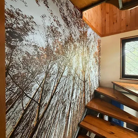 River House Vasa Vilă *