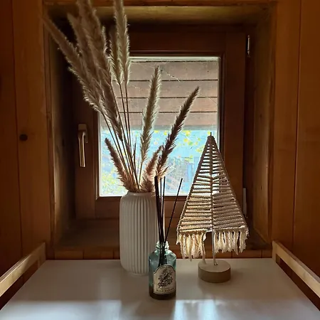 River House Vasa * Belgrade