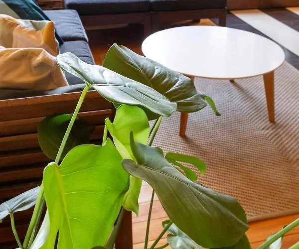 River House Vasa * Belgrad