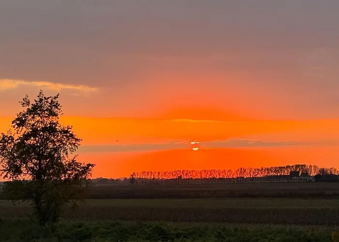 River House Vasa * Belgrad