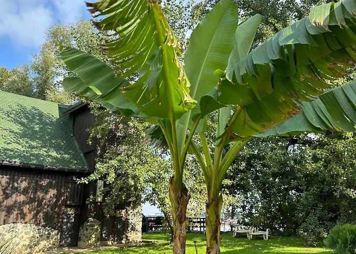 River House Vasa * Belgrad