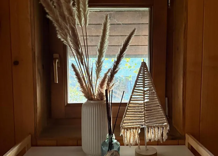 River House Vasa * Belgrad